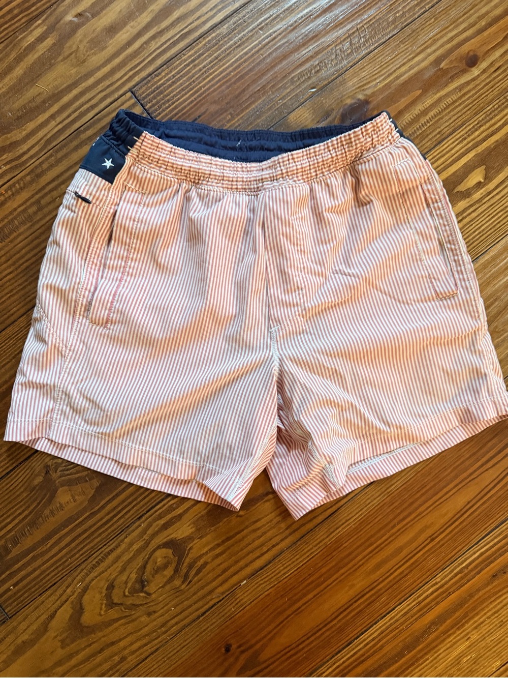 Birddogs Pink & White Striped Swim Shorts with Navy Waistband